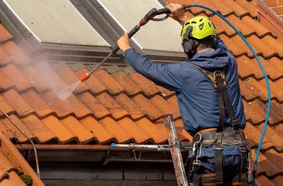 Démoussage et hydrofuge de toiture à Lanneuffret
